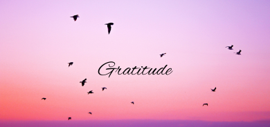 The essential use of gratitude
